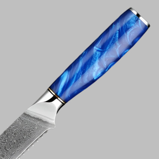 Pro Kitchen Knives for Precision Slicing with Blue Resin Handle