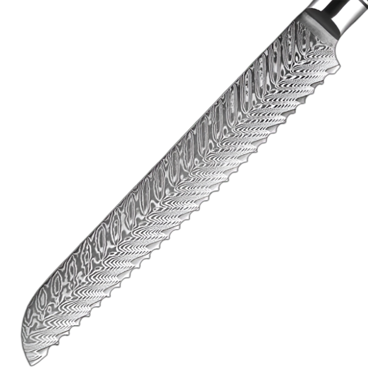 7.5 Inch Damascus Bread Knife with Grain Shell Resin Handle