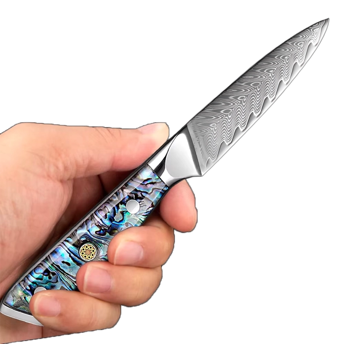 3.5 Inch Damascus Paring Knife with Ergonomic Abalone Shell Handle