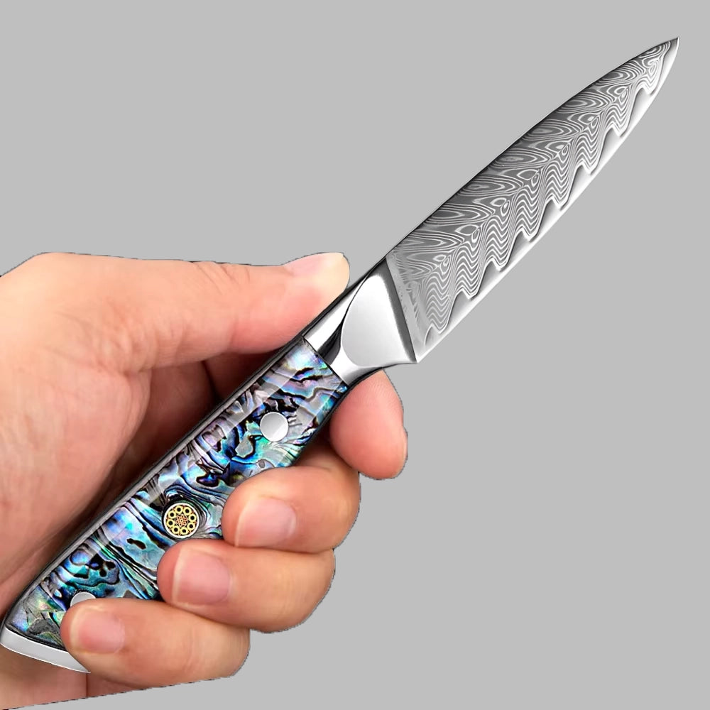 3.5 Inch Damascus Paring Knife with Ergonomic Abalone Shell Handle