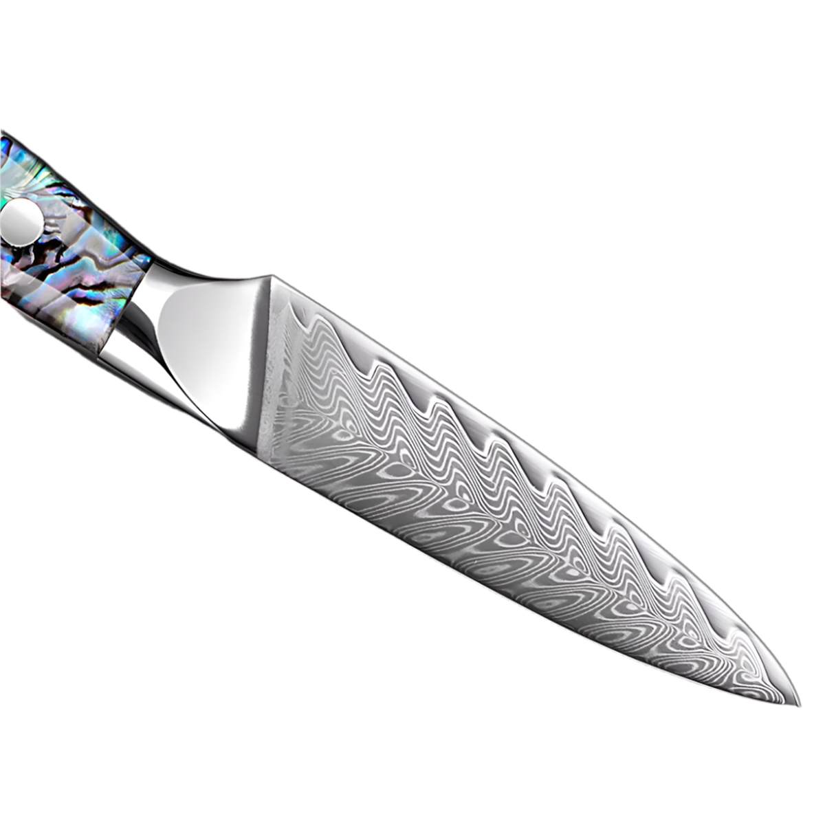 3.5 Inch Damascus Paring Knife with Ergonomic Abalone Shell Handle