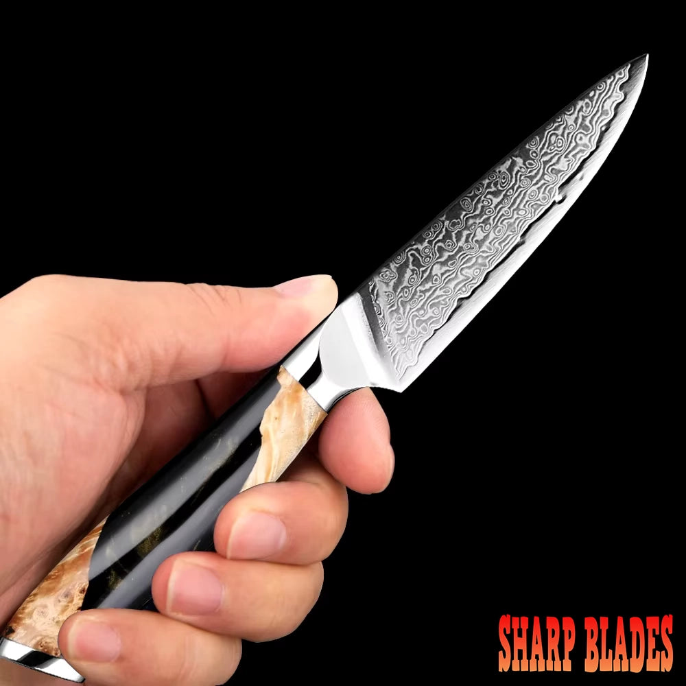 3.5 Inch Damascus Paring Knife With Black Resin And Burl Handle
