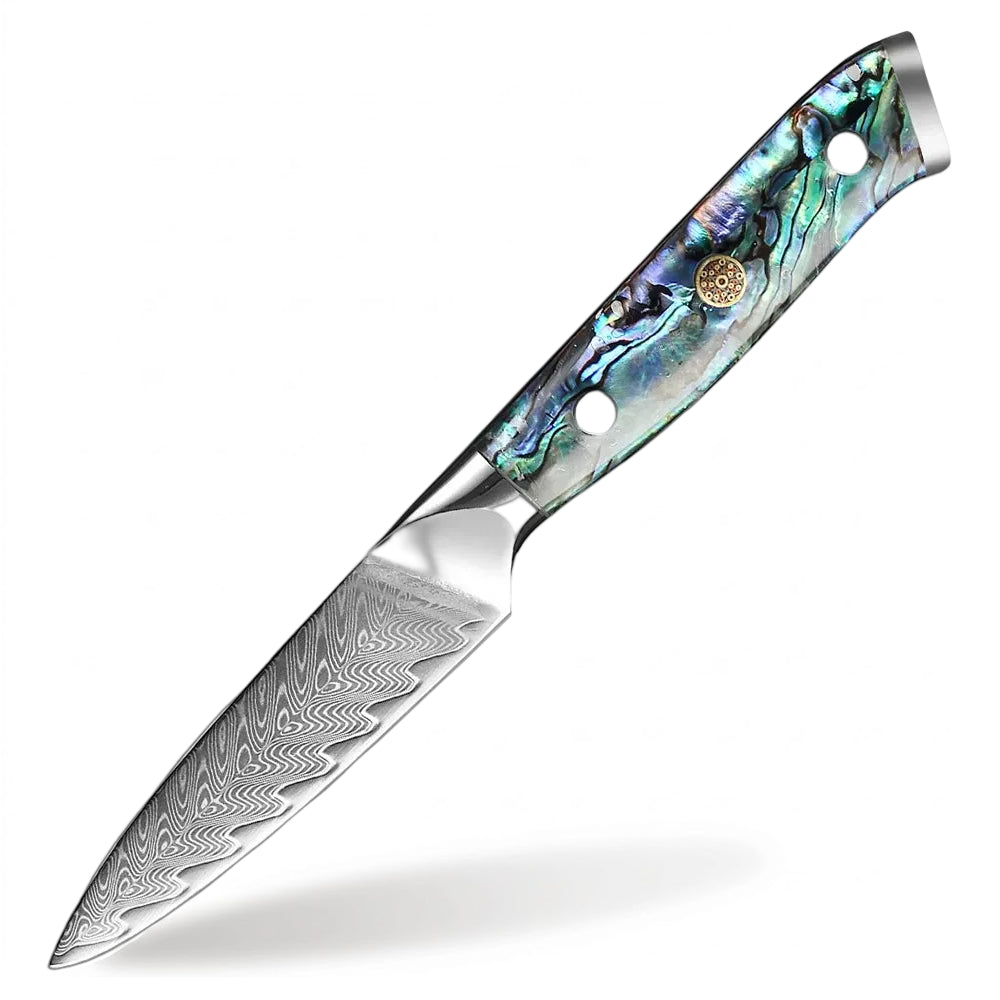 Decorative knife with a Damascus steel blade and abalone shell handle on a white background