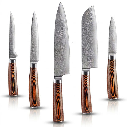 Set of five knives with wooden handles on a white background