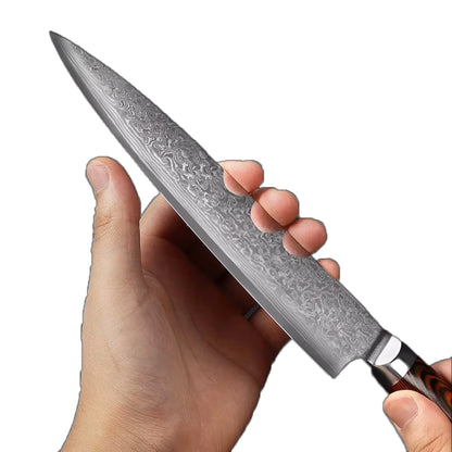 67 layer Damascus Steel Knife Set With Wood Handle
