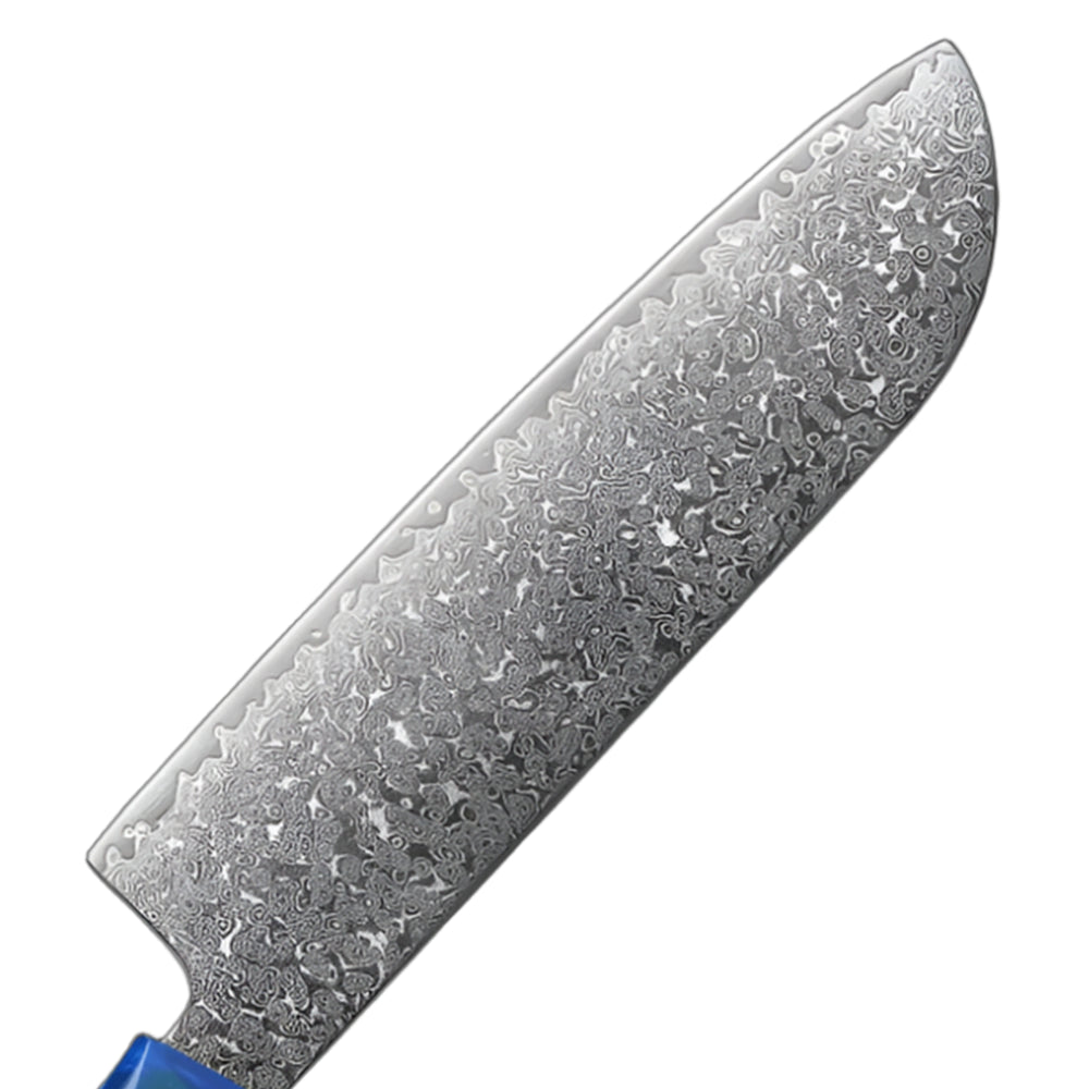 Pro VG10 Damascus Knives Set With Sandalwood And Resin Handle