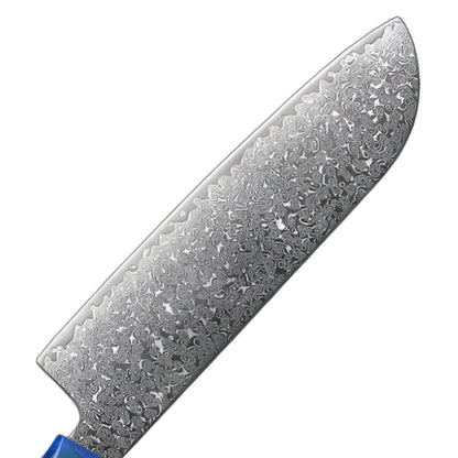 Pro VG10 Damascus Knives Set With Sandalwood And Resin Handle