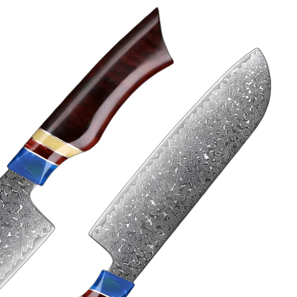 Pro VG10 Damascus Knives Set With Sandalwood And Resin Handle