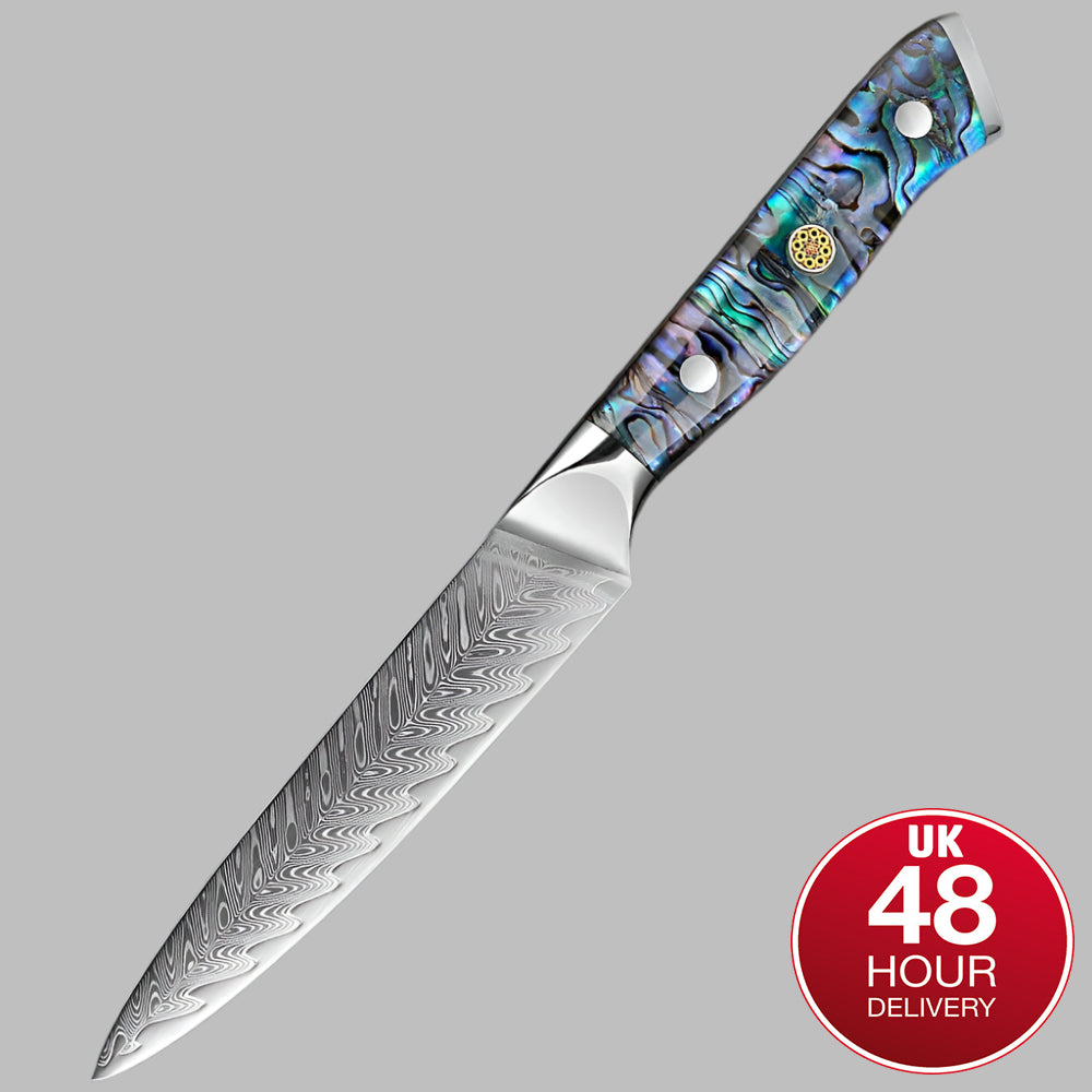 Sharp blades 5 inch utility knife with a colorful handle on a gray background, featuring a '48 Hour Delivery' badge.