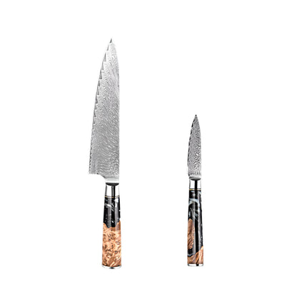Damascus Steel 9.5 Inch Chef Knife and 3.5 Inch Fruit Knife with Black Resin Handle
