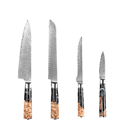 4 PCS Damascus Steel kicthen knives with Black Resin Handle