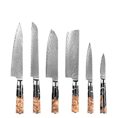 6 PCS Damascus Steel kicthen knives with Black Resin Handle