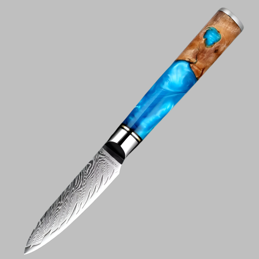 3.5 Inch Fruit knife Damascus Steel Knife with Coloured Blue Resin Handle