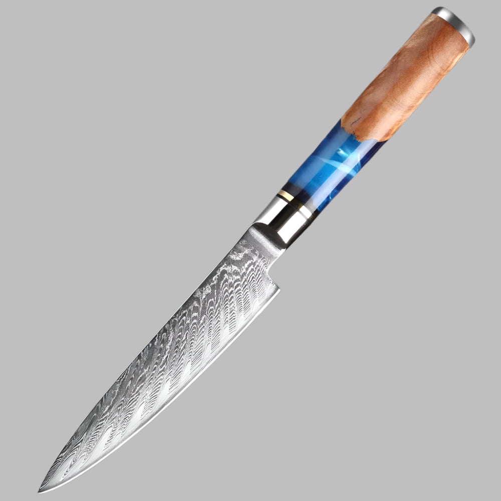 5 Inch Utility knife Damascus Steel Knife with Coloured Blue Resin Handle
