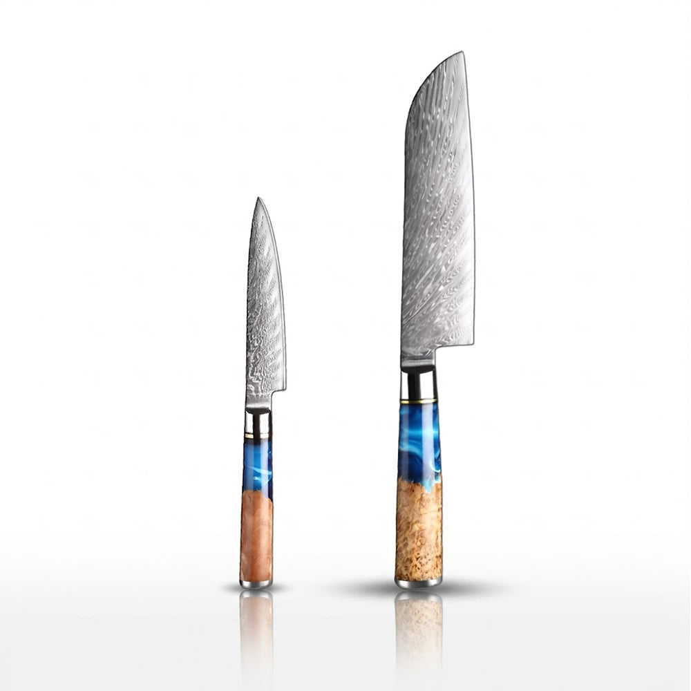 Two knives with wooden handles on a white background