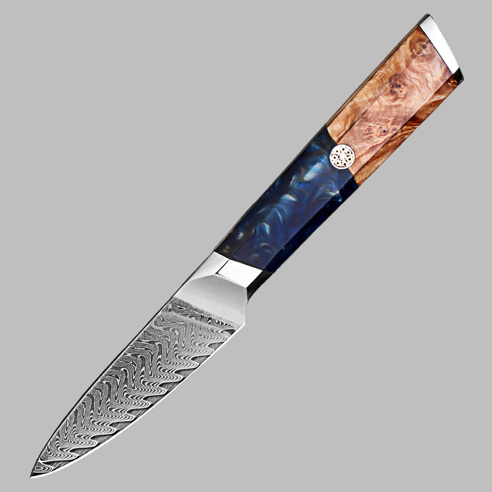 Makito Damascus Steel 3.5 inch Fruit knife With Coloured Blue Resin Handle