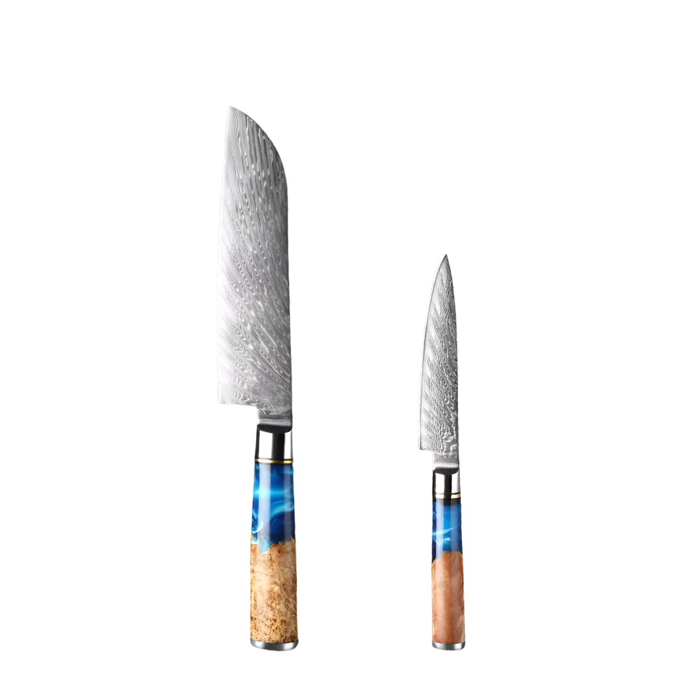 Two knives with wooden handles on a white background